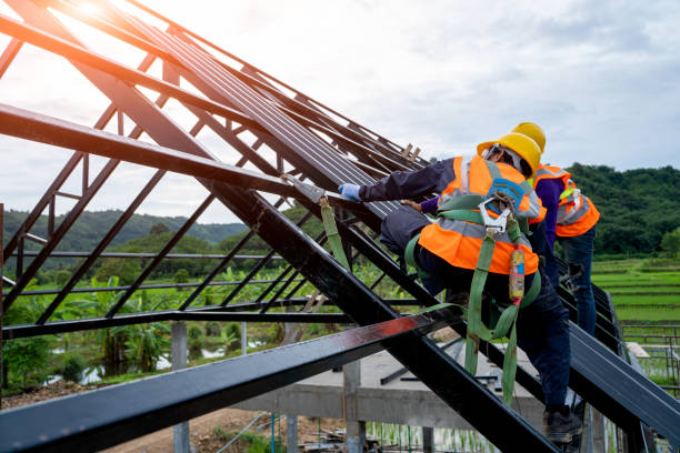 Best Gutter Installation and Roofing  in Griggsvle, IL
