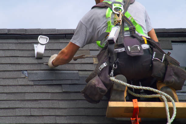 Best Roof Maintenance Services  in Griggsvle, IL