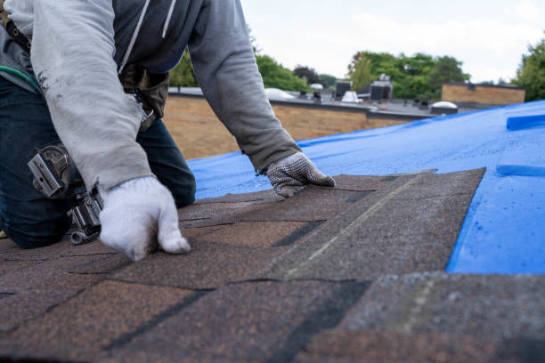 Best Roofing Contractor Near Me  in Griggsvle, IL