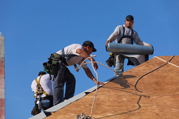 Best Roof Maintenance Services  in Griggsvle, IL