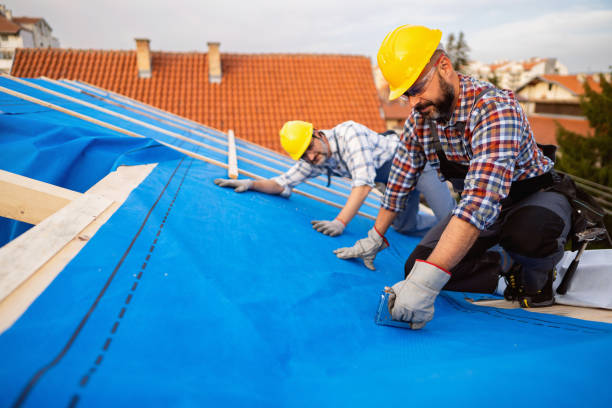 Best Roof Leak Repair  in Griggsvle, IL